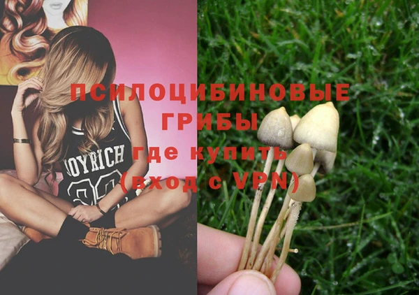 ГАЛЛЮЦИНОГЕННЫЕ ГРИБЫ Бугульма