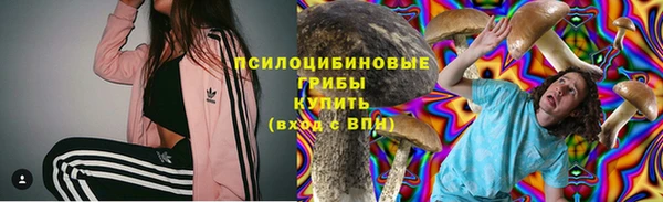 ГАЛЛЮЦИНОГЕННЫЕ ГРИБЫ Бугульма