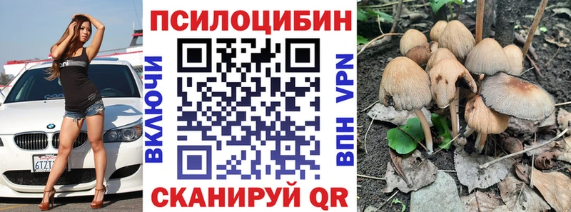 как найти наркотики  мега   Галлюциногенные грибы прущие грибы  Ессентуки 