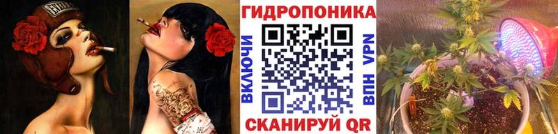 где продают Ессентуки блэк спрут tor Каннабис SATIVA & INDICA